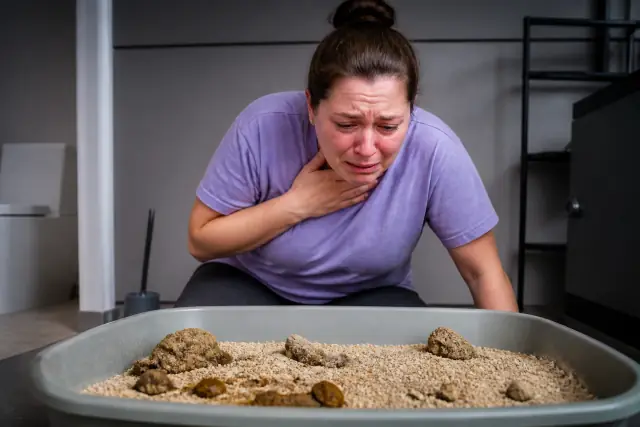 Breathing In Cat Litter Fumes: What Ammonia Actually Does to You