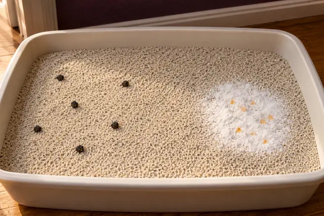Purrify vs Coir Wonder, NonScents and Arm & Hammer: Four Litter Deodorizers Compared